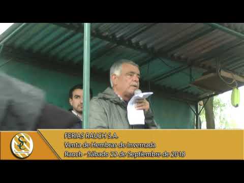 22-09-18 Venta de Hembras - Ferias Rauch - Rauch