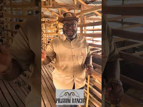 Maintenance Ration in Goat Nutrition by Dr John Abraham Godson #goatfarming #goats #boergoat