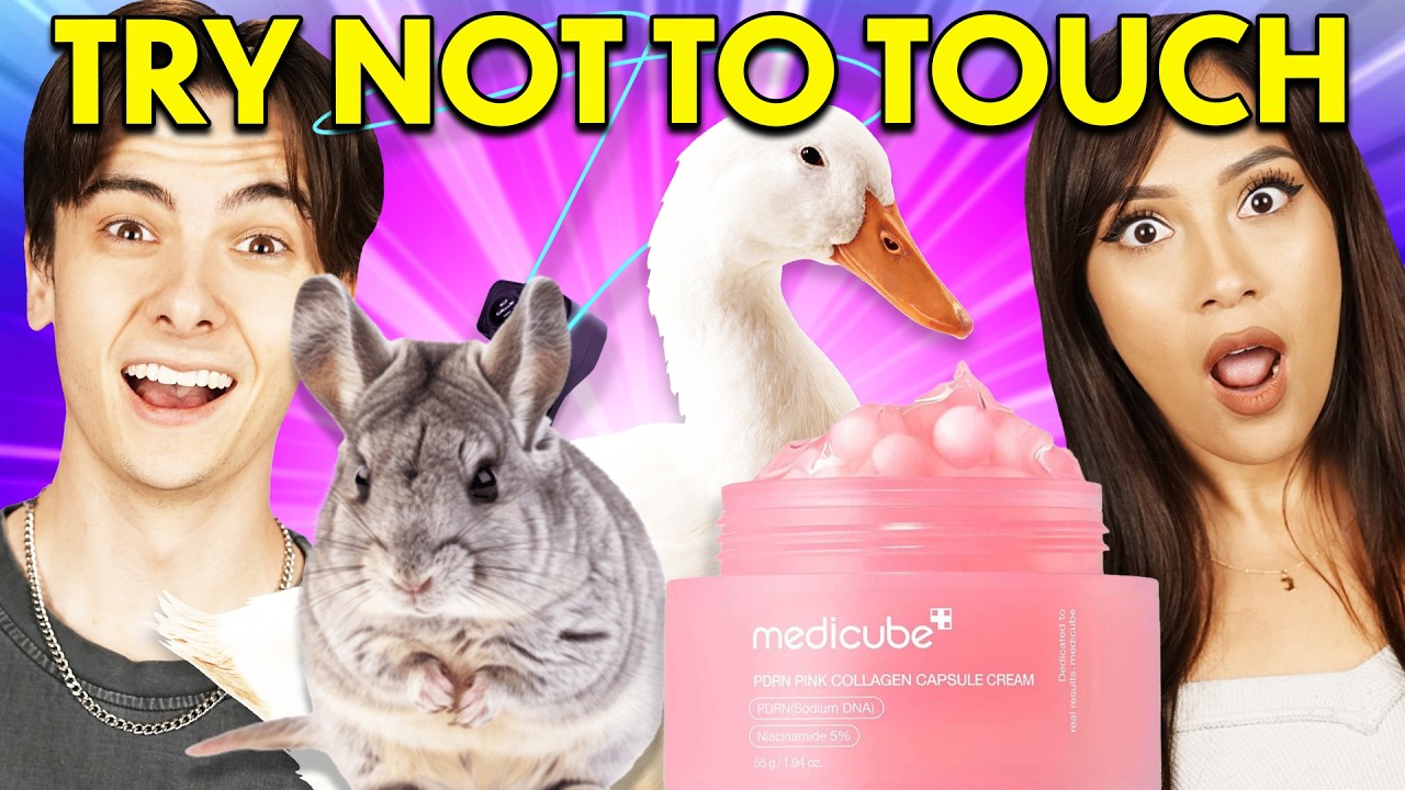 Ultimate Try Not To Touch Challenge