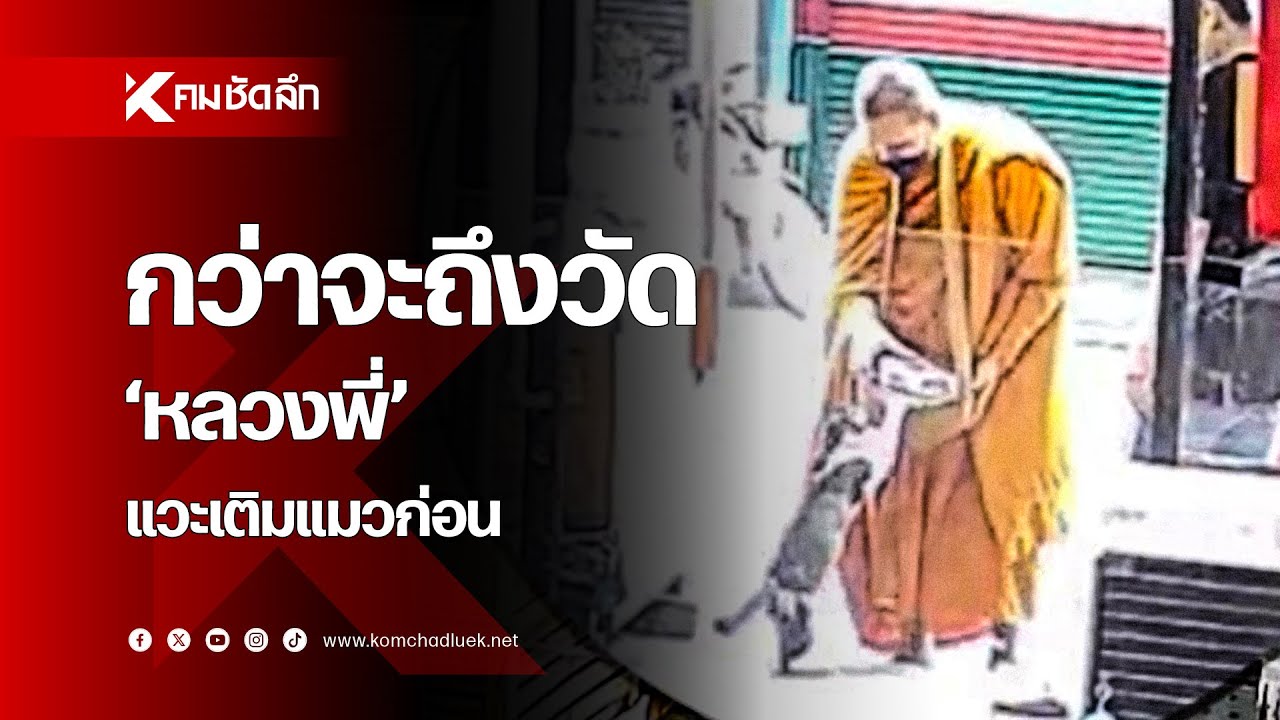 กว่าจะกลับถึงวัด 'หลวงพี่' แวะเติมแมวก่อน