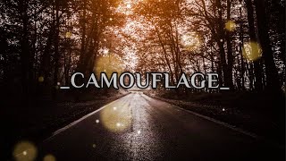 Selena Gomez - Camouflage (Lyrics)