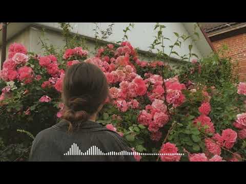 Otilia - Bilionera | New Music 2023 🎶 | Relaxing Vibe