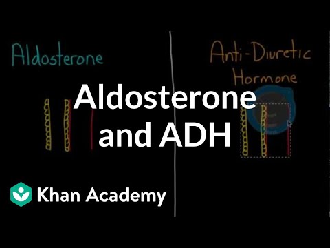 Aldosterone and ADH | Renal system physiology | NCLEX-RN | Khan Academy