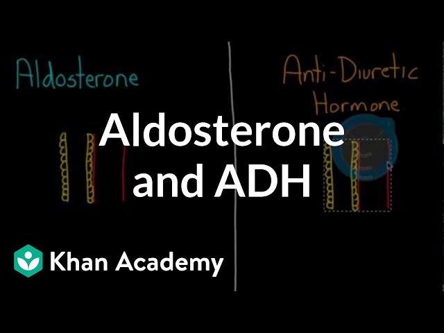 Video pronuncia di aldosterone in Inglese