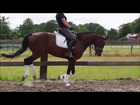 5j Staatsprämienstute v. Floriscount