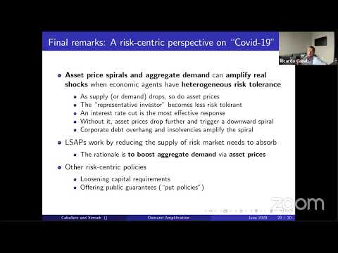 VMACS - Virtual Macro Seminar