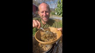 My 100% Foraged Meal!