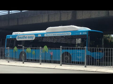 Sydney Transport Vlog 7: Sydney Electric buses galore!! (100 subscribers special) ⚡️⚡️⚡️