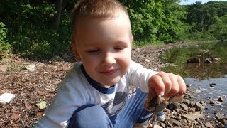 Как ловить крабов голыми руками