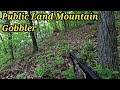 Run And Gun PA Public Land Spring Turkey Hunting