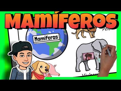 🦁 Los MAMÍFEROS para NIÑOS de PREESCOLAR