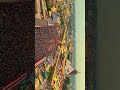 Beauty Of Jagannath Rath Yatra Jagannath Rath Yatra WhatsApp Status 20 June Jagannath Coming