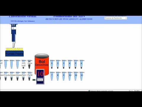 video Biotecnologia 3