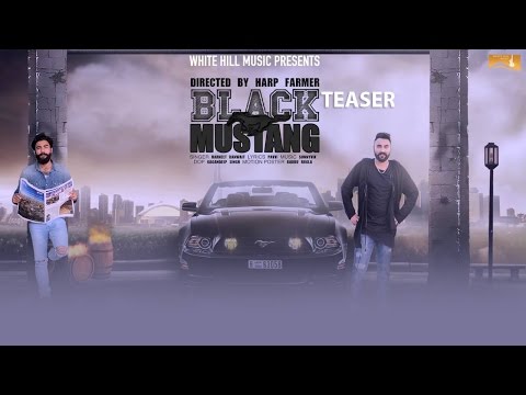 Black Mustang (Teaser) | Harneet Banwait | White Hill Music | Releasing on 24th Feb