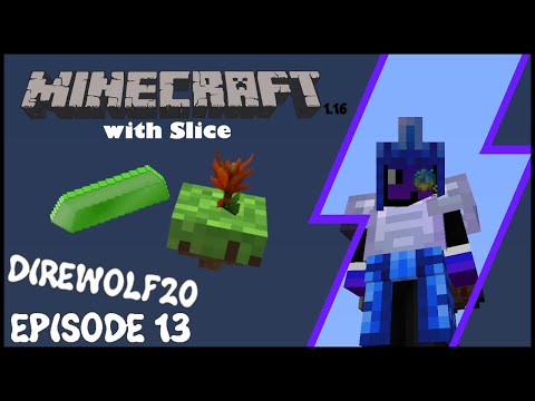 Expanding Botania - FTB Direwolf20 1.16 LP1 EP13