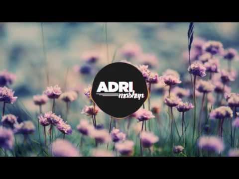 Joakim Molitor ft. Maia Wright - Weightless