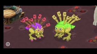 how to breed rare reedling