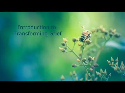 Transforming Grief Introduction (6 minutes)