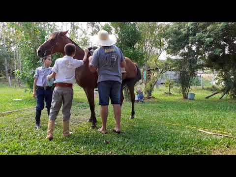 Quarentena Corona Vírus no Sítio