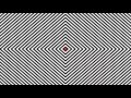 INSANE OPTICAL ILLUSION