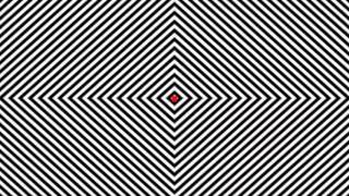 INSANE OPTICAL ILLUSION