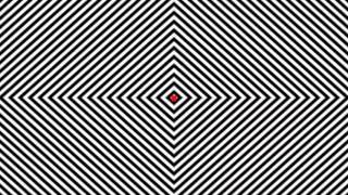 INSANE OPTICAL ILLUSION