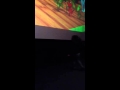 Dinosaur Train