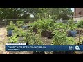 Church Community Garden Helps Those With Food Insecurity