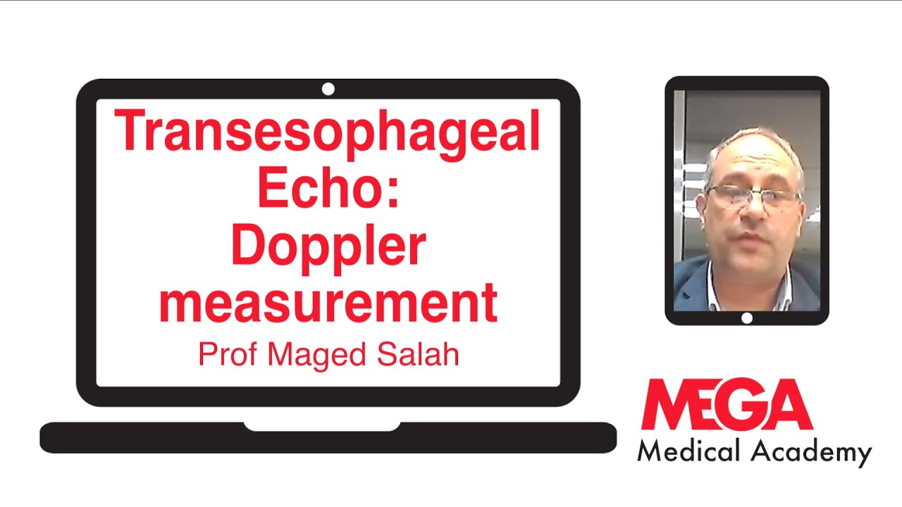 Transoesophageal Echo: Doppler measuerment