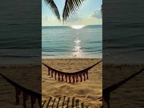 Vlog Short