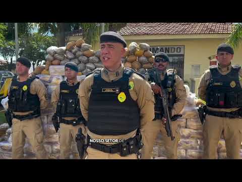 APREENSÃO DE GRANDE QUANTIDADE DE DROGAS EM SÍTIO NO ASSENTAMENTO EM PLANALTINA DO PARANÁ