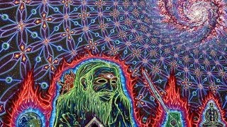Download lagu Shpongle - The Seventh Revelation [Visualization] mp3
