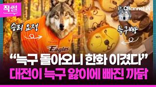 “늑구 돌아오니 한화 이겼다”⚾????…대전은 지금???? 늑구 앓이에???? 빠져버렸다? ???? [직썰]