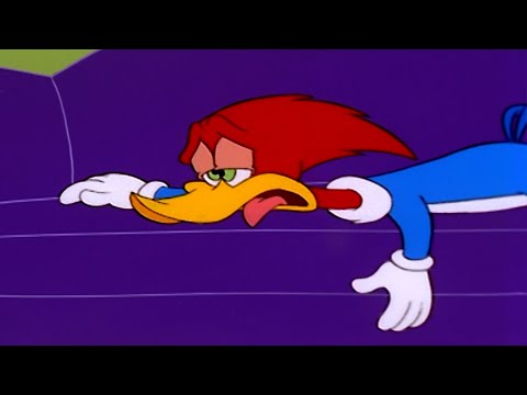 Woody Can't Get Comfortable | Woody Woodpecker