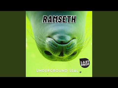 One Seal (Original Mix)