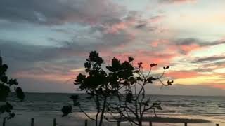 Download lagu Ben and ben - leaves lyrics ft. Young k.🎵 mp3