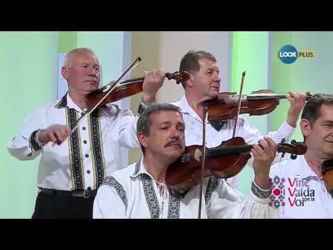 Ans. Valea Someșului - Fecioresc