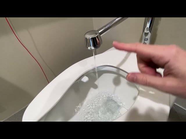 How to Use Sloan Manual Flush Valve with Bedpan Cleaner - product in use