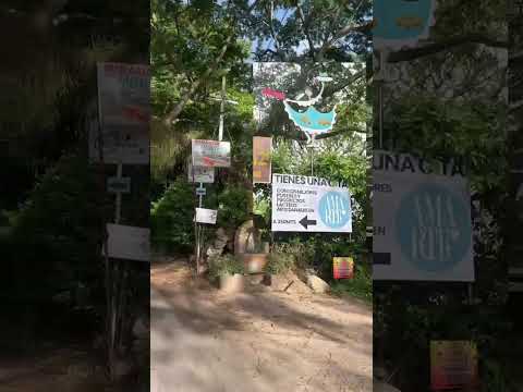 Amarte Rivera ya está en el mapa: así puedes llegar a nuestro punto en Rivera, Huila