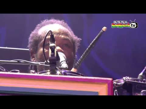 The Uprising Roots Band Rototom Festival 2015 Performance (Full)