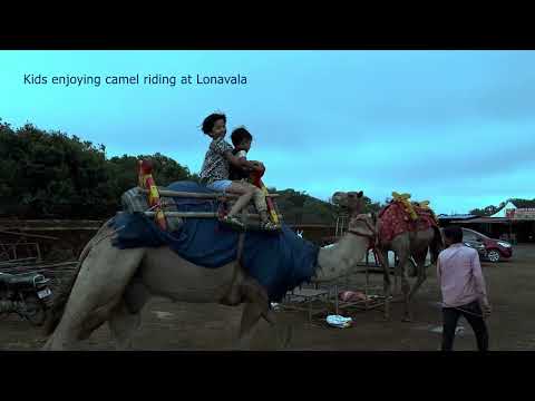 Camel Riding Lonavala Tiger Point