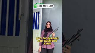 Download lagu KECIL KECIL CABE RAWIT PCP PISTOL ALIGATOR 🔥 #youtubeshorts #fypシ゚viral #reviewsenapanangin mp3