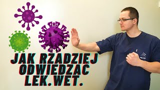 JAK WZMOCNIĆ ODPORNOŚĆ PSA I KOTA