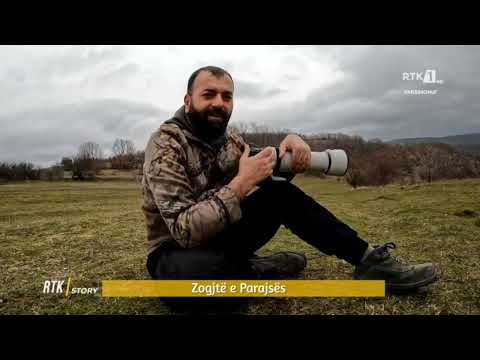RTK Story - ZOGJTË E PARAJSËS 18.02.2022