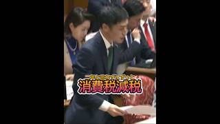 ２年と言わずにずっと消費税減税を [山添拓]