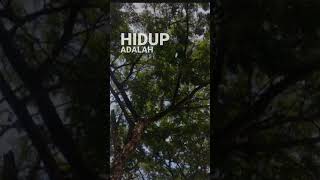 Download lagu jangan menyerah,syukuri apa yang ada,hidup adalah anugrah, mp3