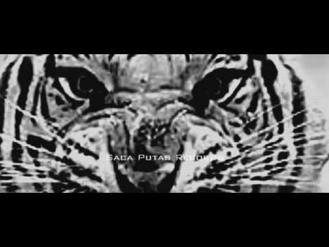 CLAN LPD - Supervivencia ft. Sumaj Arte Kaway (HIP HOP BOLIVIANO)