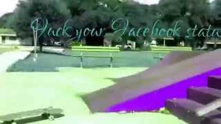 Denver harbor lil red 248 skate