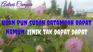 Download lagu Karaoke - Jantan tak laku -  Zul Hasan mp3