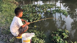 Best fishing Video 2023✅|Little Boy hunting catching fish by fish hook From beautiful nature🥰🥰